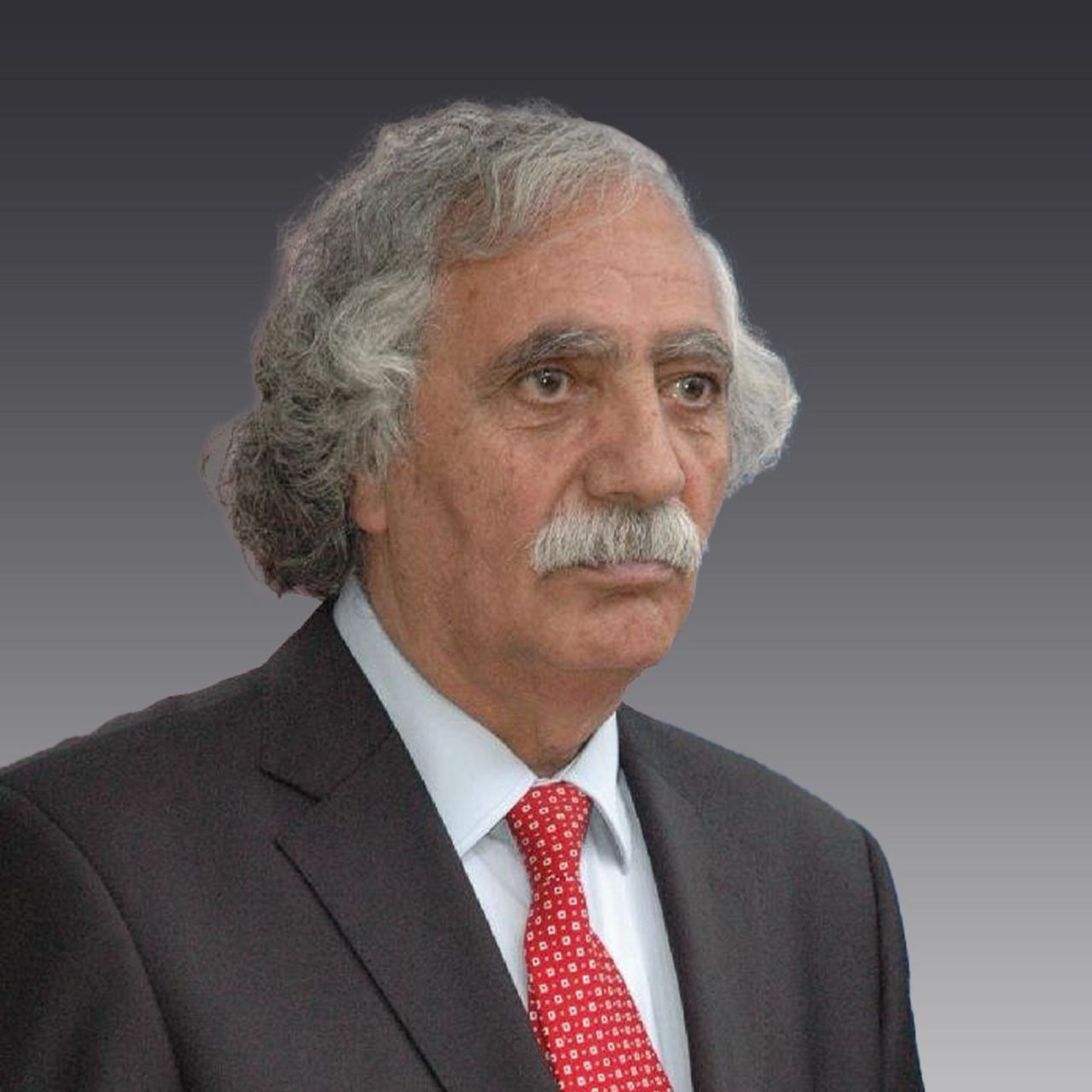 Prof Dr. Beycan İBRAHİMOĞLU
