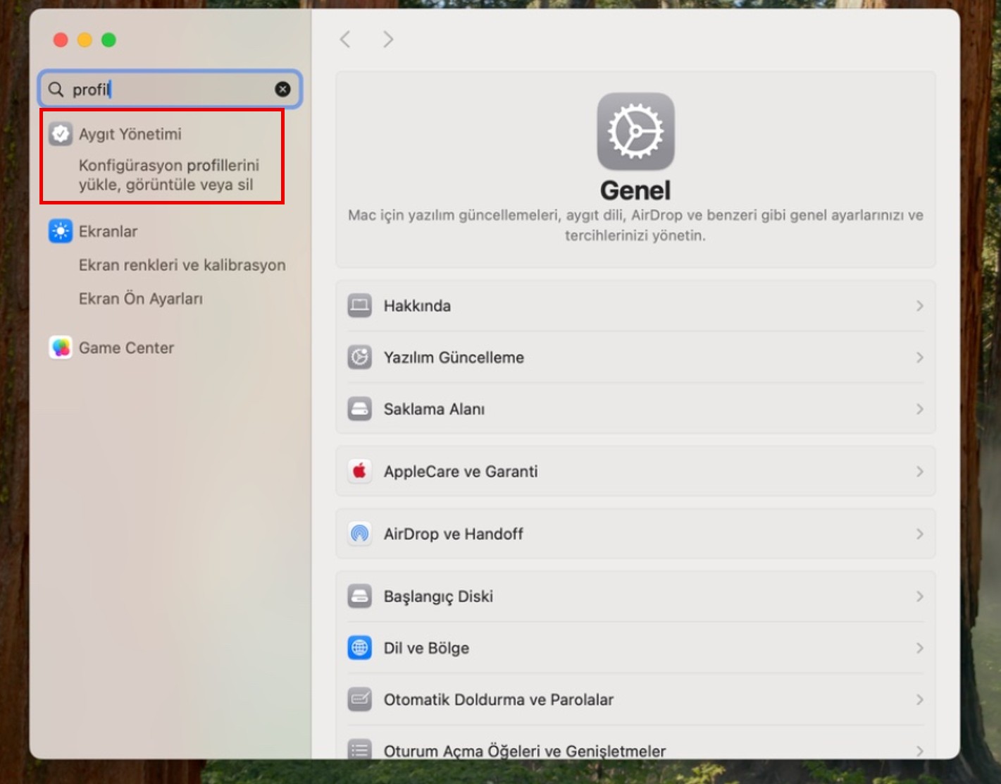 macOS Sistem Ayarlarında profil araması ve Aygıt Yönetimi seçeneği